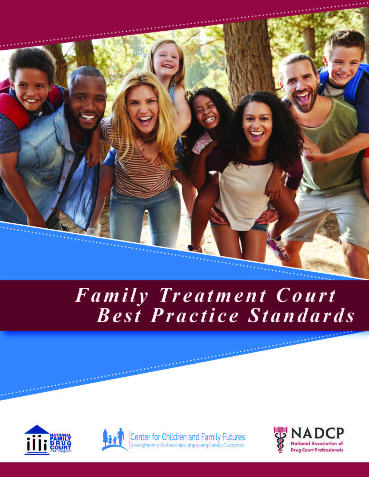 Family Treatment Courts Best Practice Standards