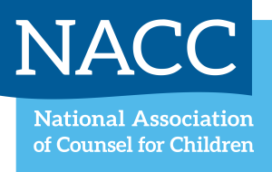 February NACC Member Webinar Algorithms in Child Welfare and Juvenile Justice @ Online